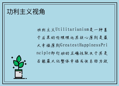 功利主义视角